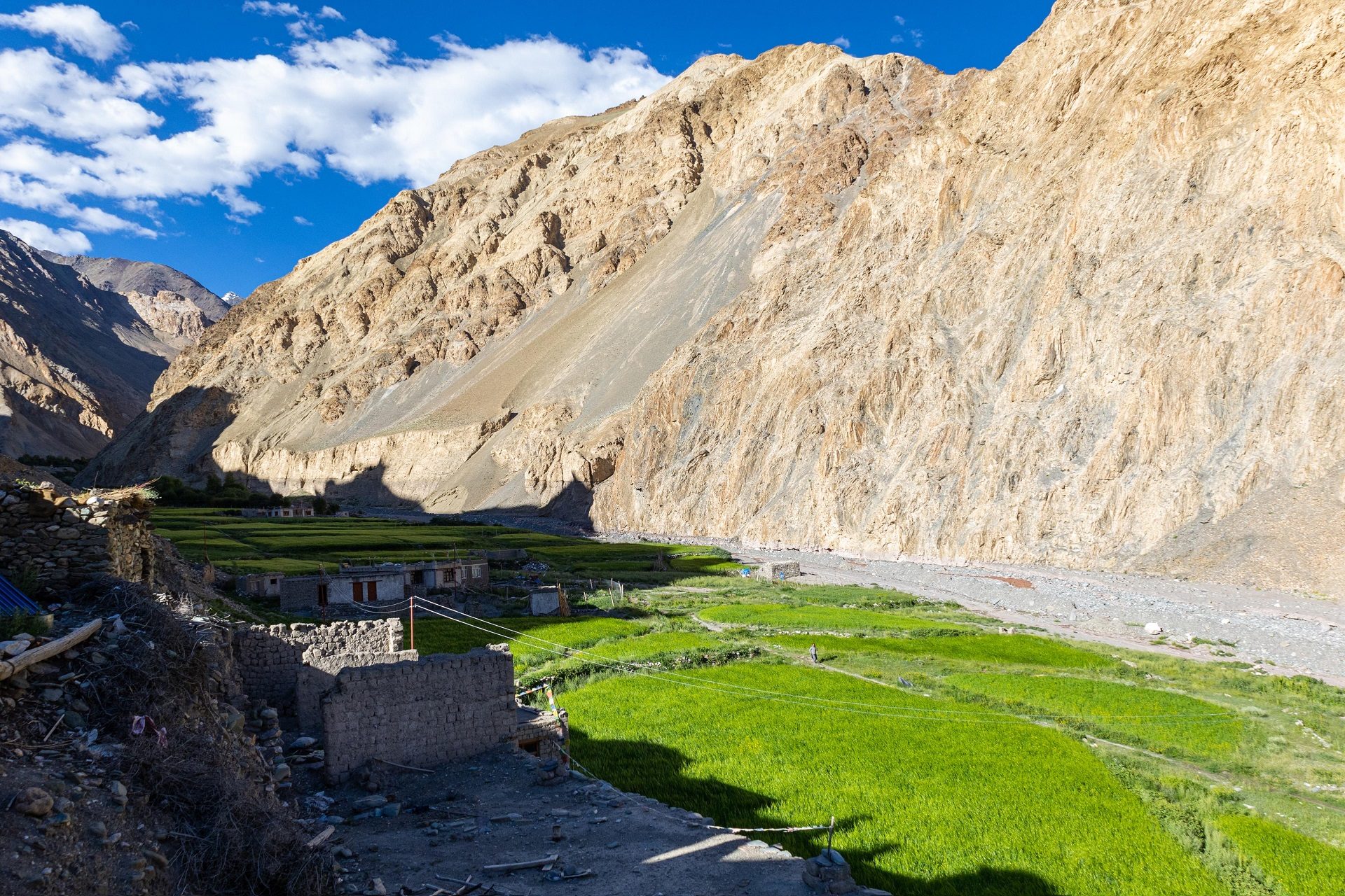 Markha Valley Trek (8)